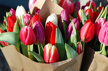 Букеты из тюльпанов, роз и хризантем по супер ценам!